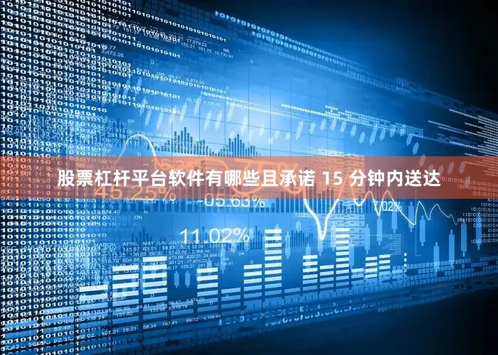 股票杠杆平台软件有哪些且承诺 15 分钟内送达